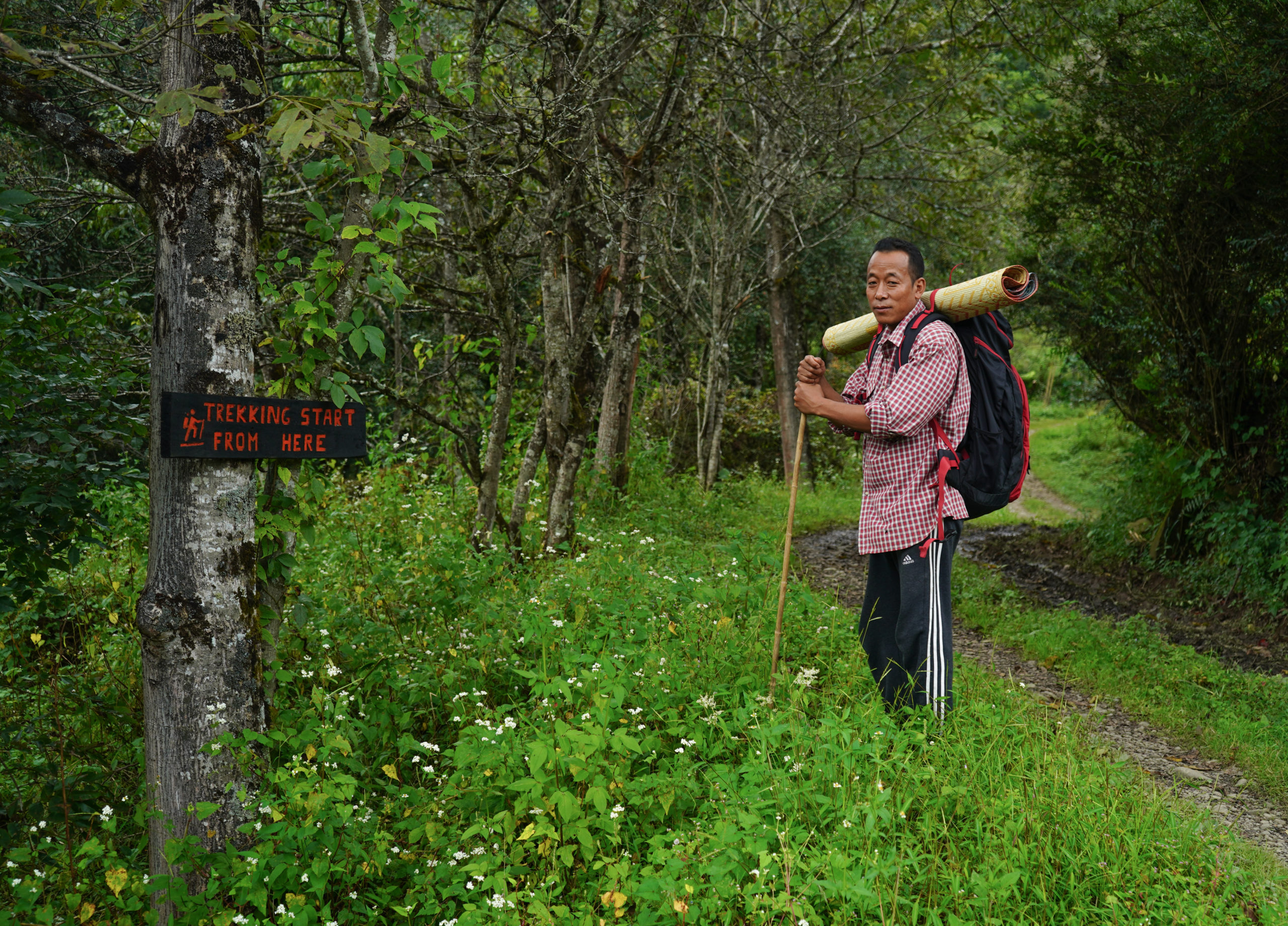 Forest Based livelihoods